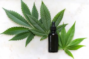 cbd oil and cannabis leaves